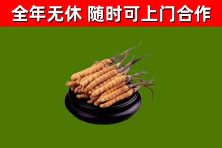 于都烟酒回收冬虫夏草.jpg